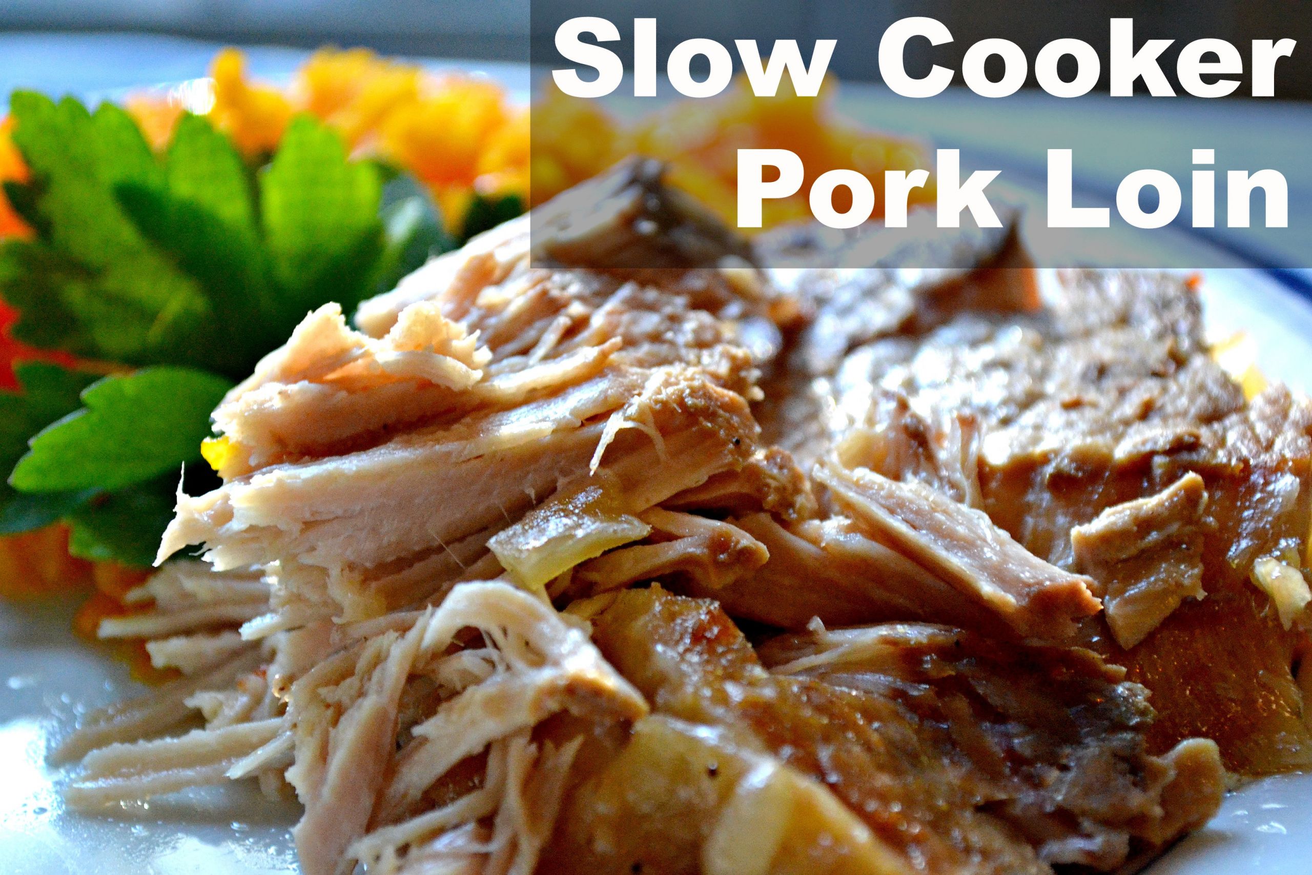 Pork Loin Chops Slow Cooker Recipes
 Two Slow Cooker Pork Loin Recipes Blissfully Domestic