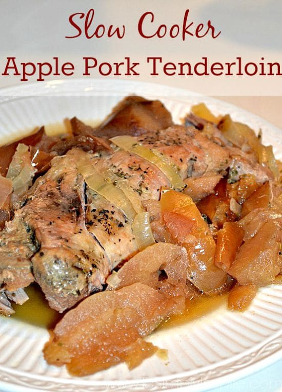 Pre-Seasoned Pork Tenderloin In Slow Cooker
 Healthy Slow Cooker Recipes