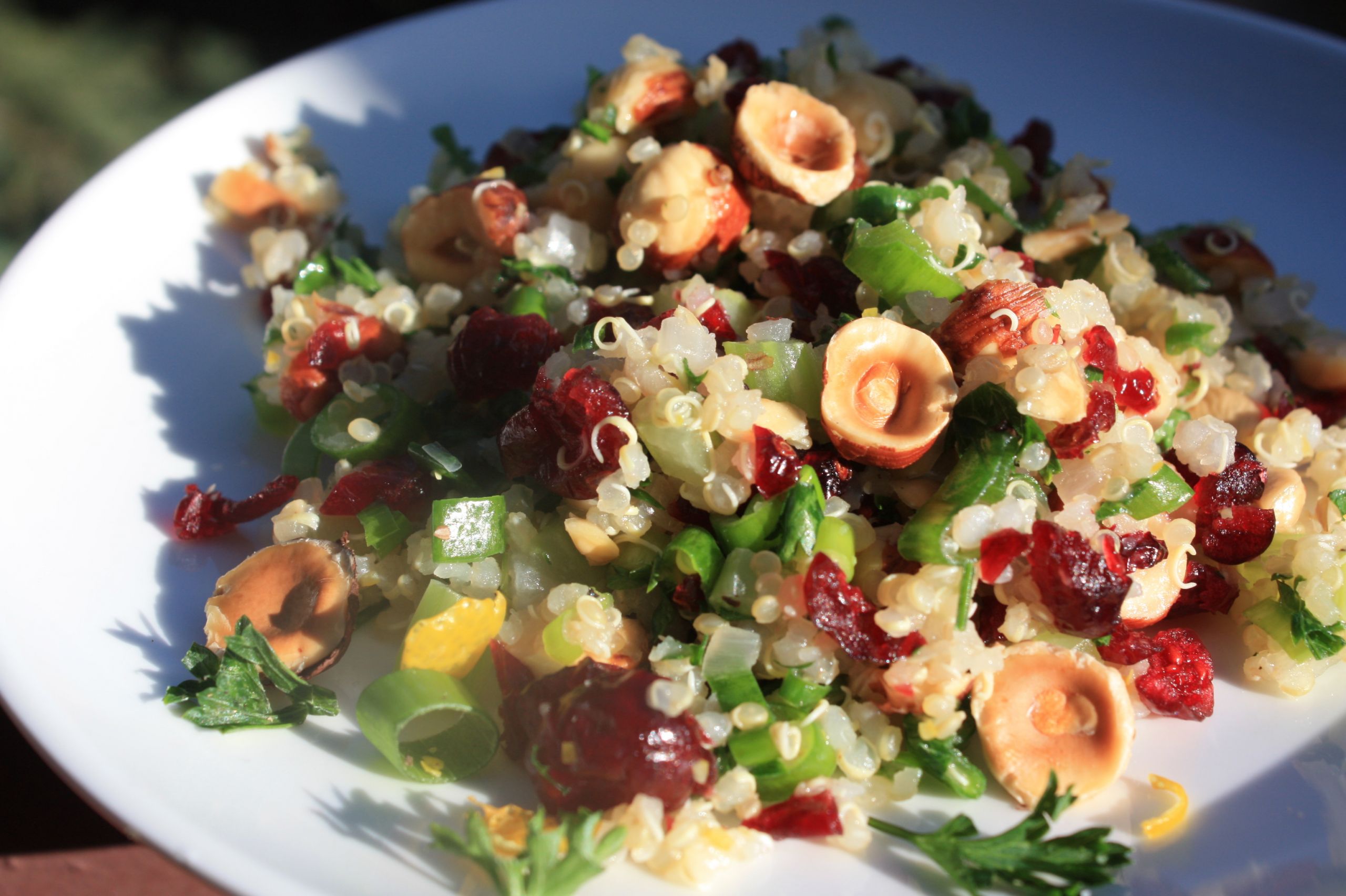 Quinoa Cranberry Salad
 Quinoa Salad with Hazelnuts Apple and Dried Cranberries