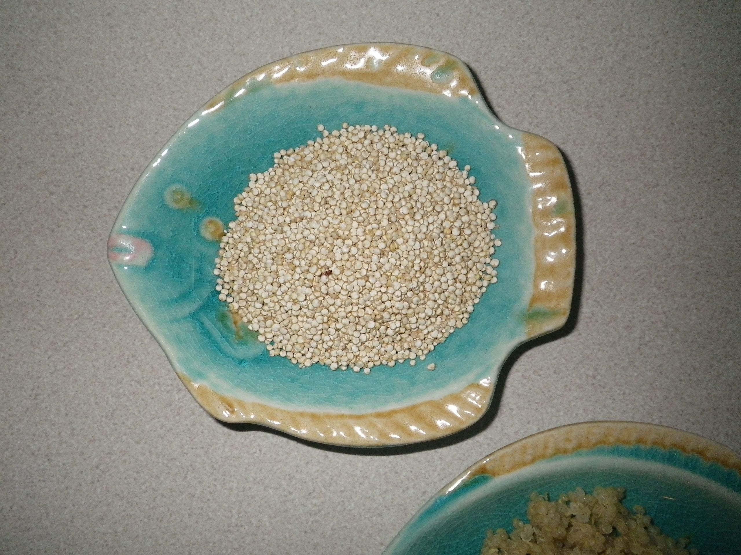 Quinoa Soluble Fiber
 Quinoa…is it a name or a grain