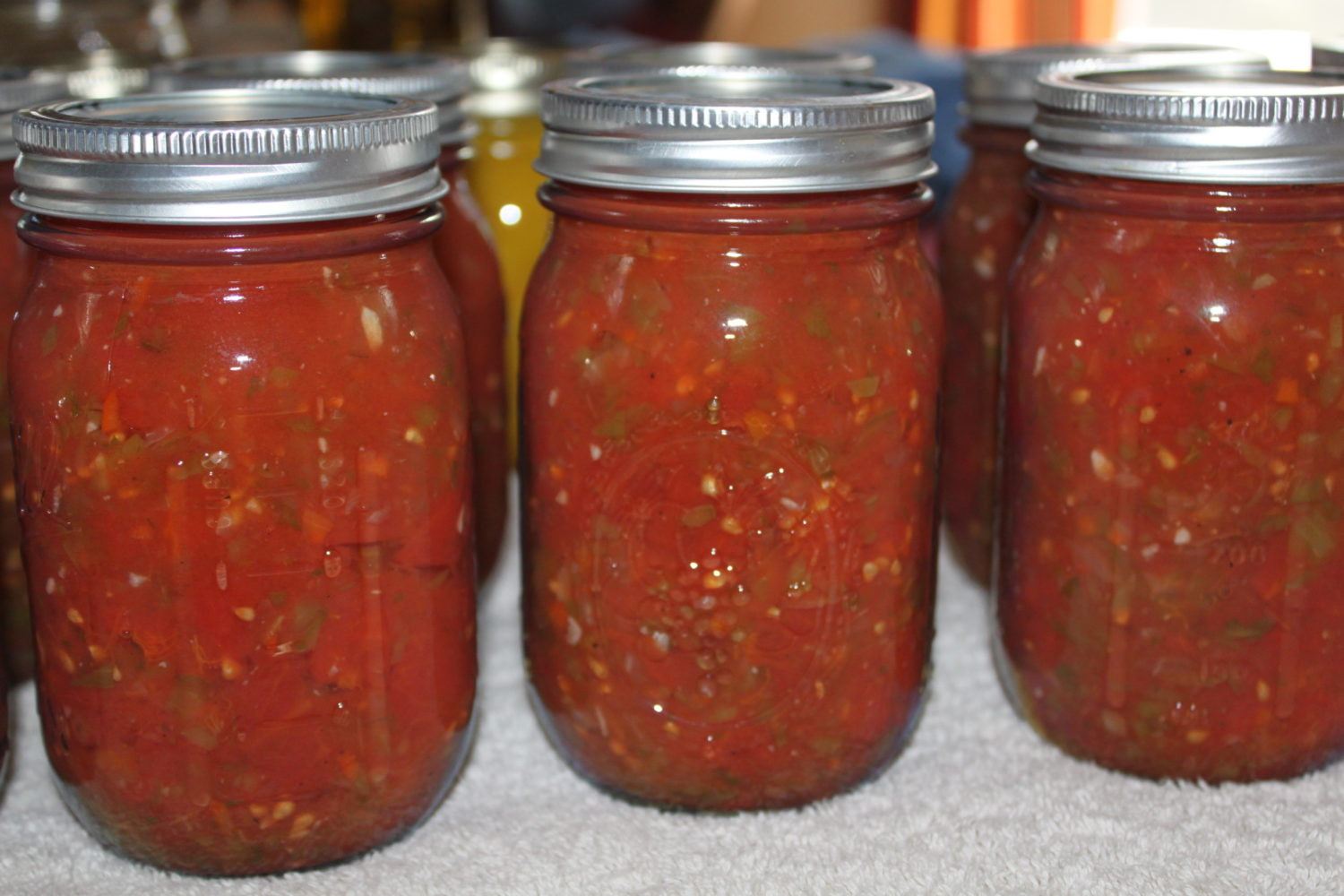 Recipe For Canning Salsa
 Classic Salsa Canning Recipe Made Straight From The Garden