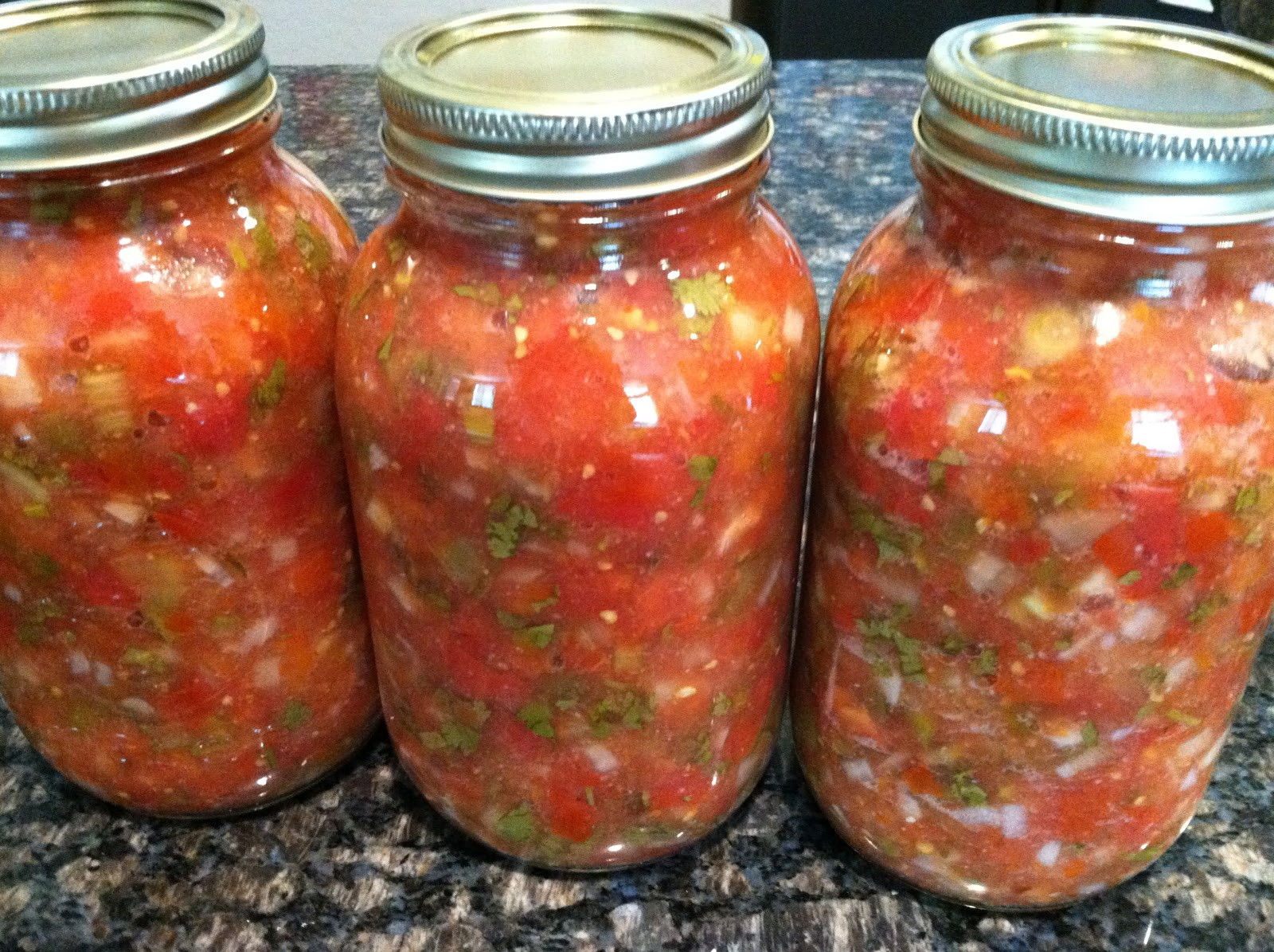 Recipe For Canning Salsa
 seeshellspace Homemade Salsa Canned