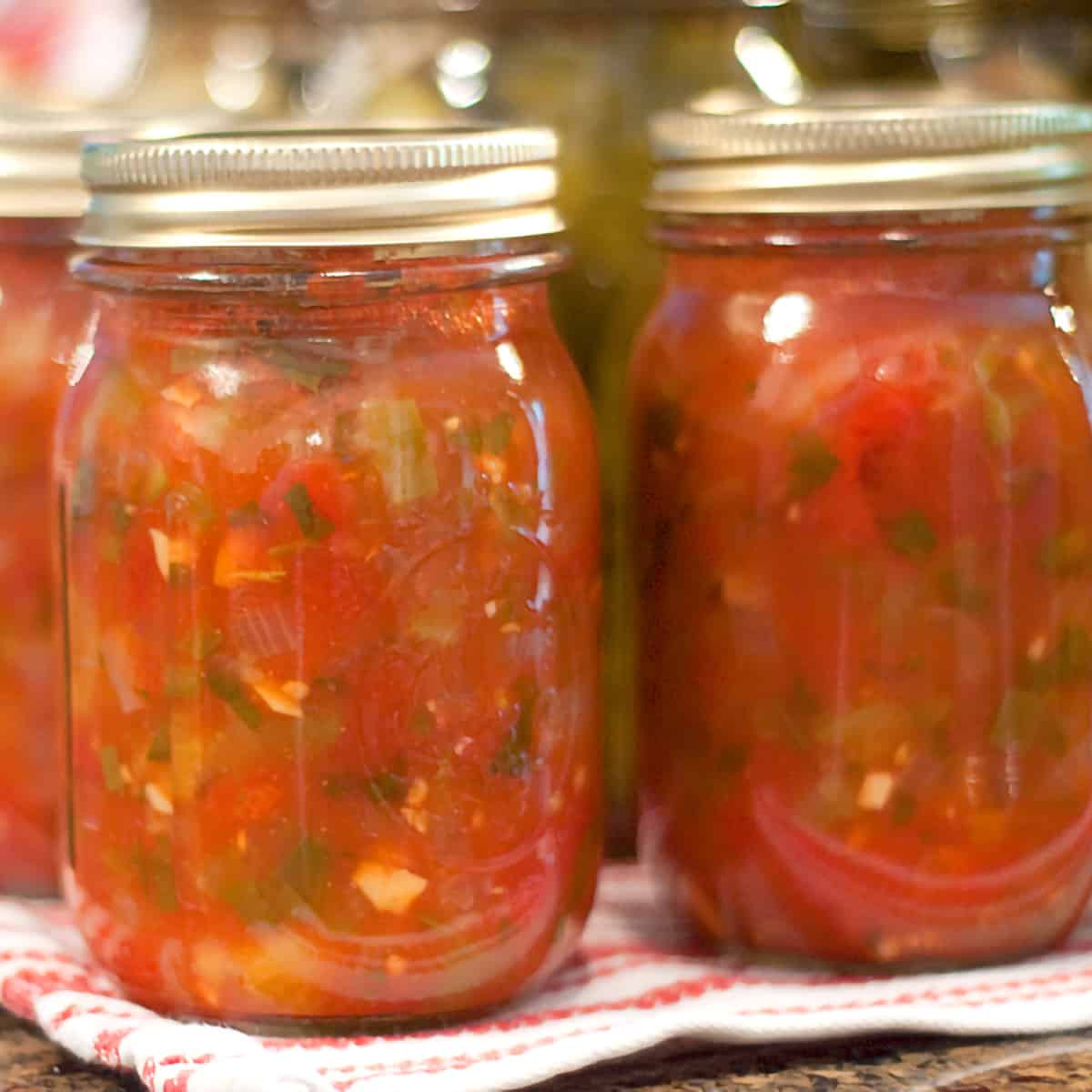 Recipe For Canning Salsa
 Basic Salsa Canning Recipe from Never Enough Thyme