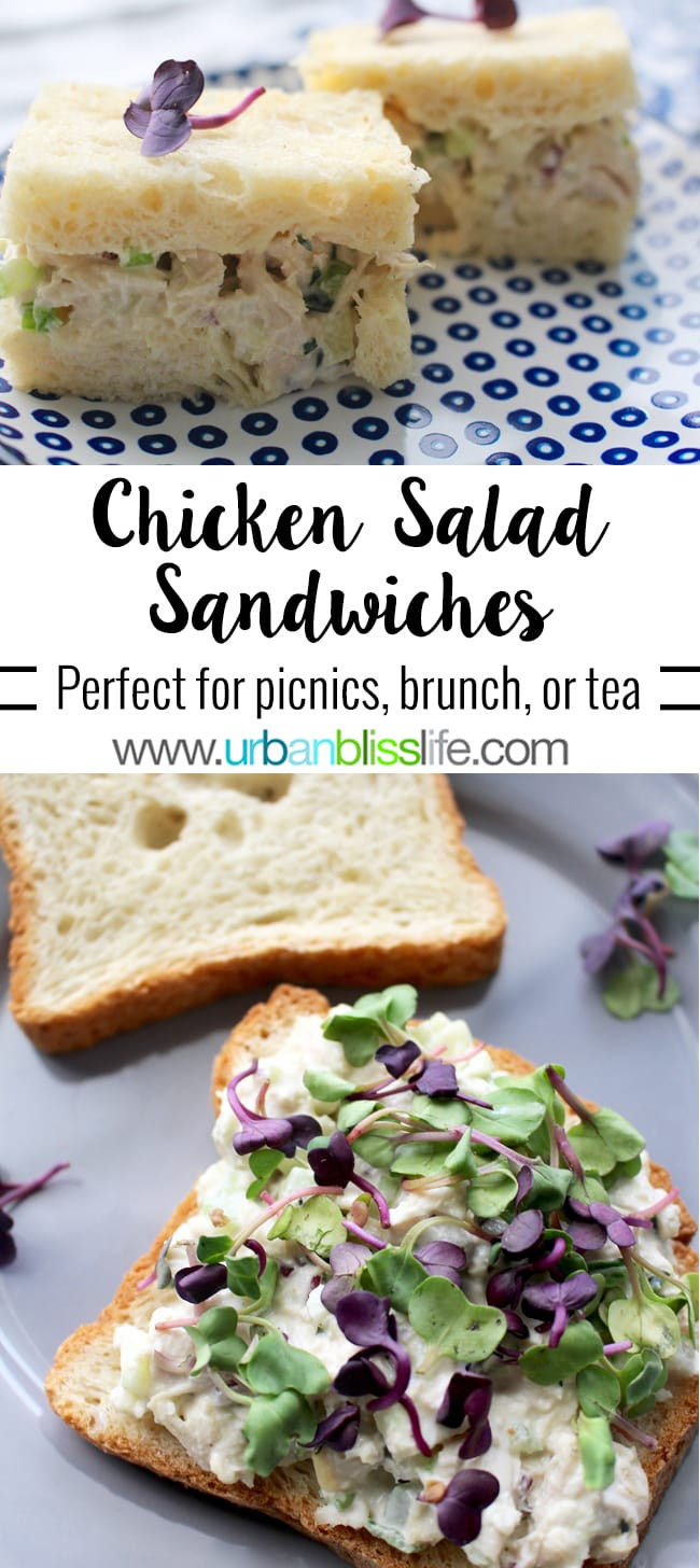 Recipes Chicken Salad Sandwiches
 Classic Chicken Salad Sandwiches recipe picnic brunch tea