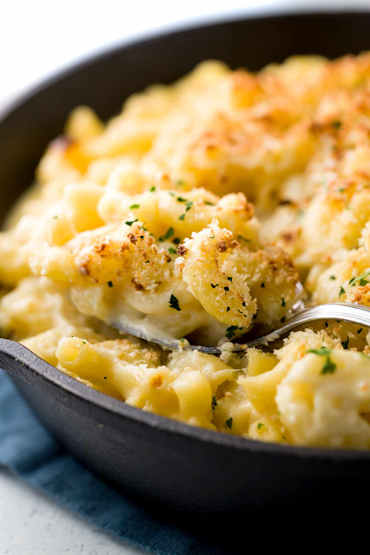 Recipes For Baked Macaroni And Cheese With Bread Crumbs
 macaroni and cheese bread crumb topping