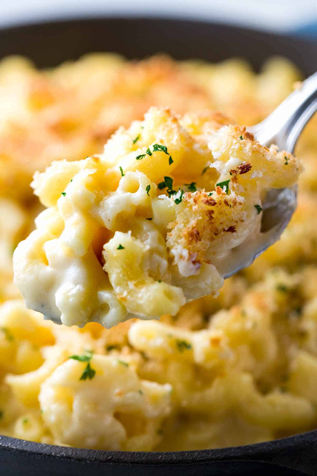 Recipes For Baked Macaroni And Cheese With Bread Crumbs
 Baked Macaroni and Cheese with Bread Crumb Topping