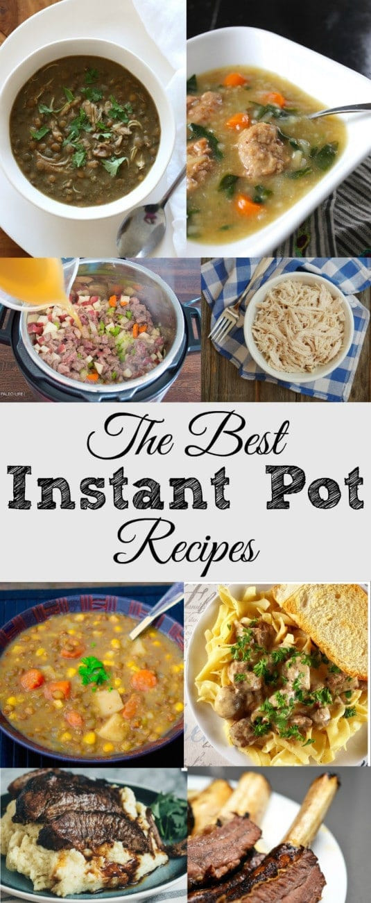 Recipes For The Instant Pot
 The best instant pot recipes · The Typical Mom
