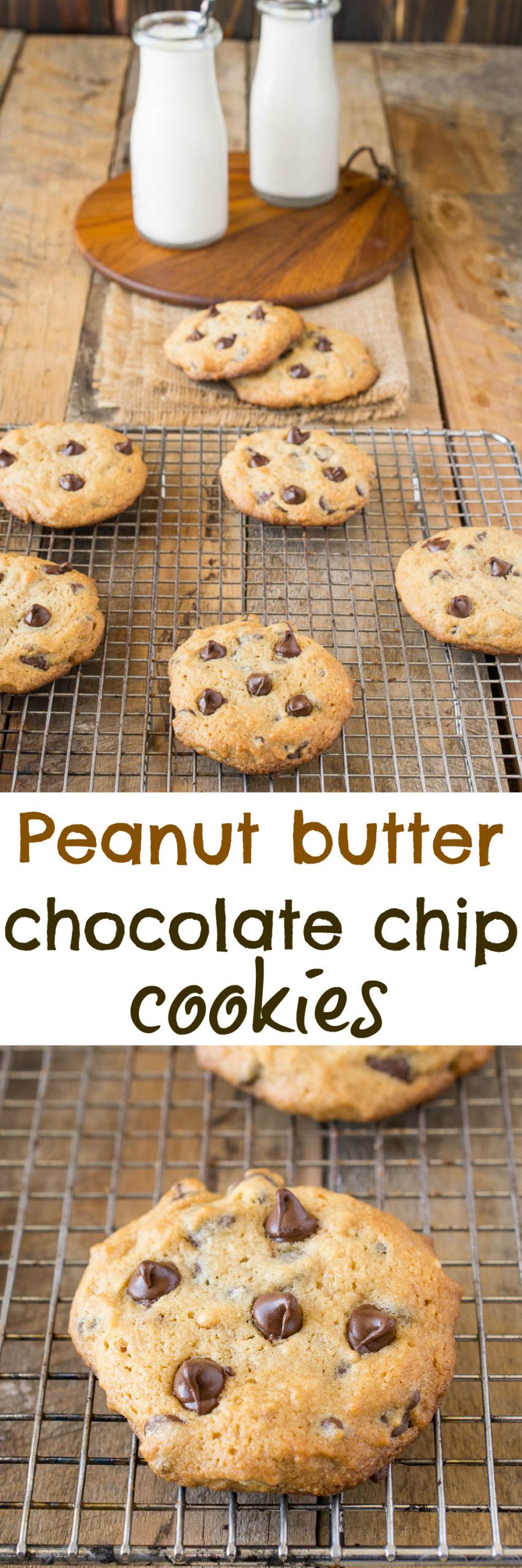 Reese'S Peanut Butter Chip Cookies
 Peanut butter chocolate chip cookies Culinary Ginger