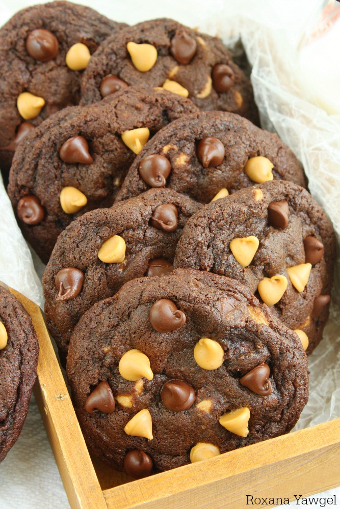 Reese'S Peanut Butter Chip Cookies
 Soft and chewy chocolate peanut butter chip cookies recipe