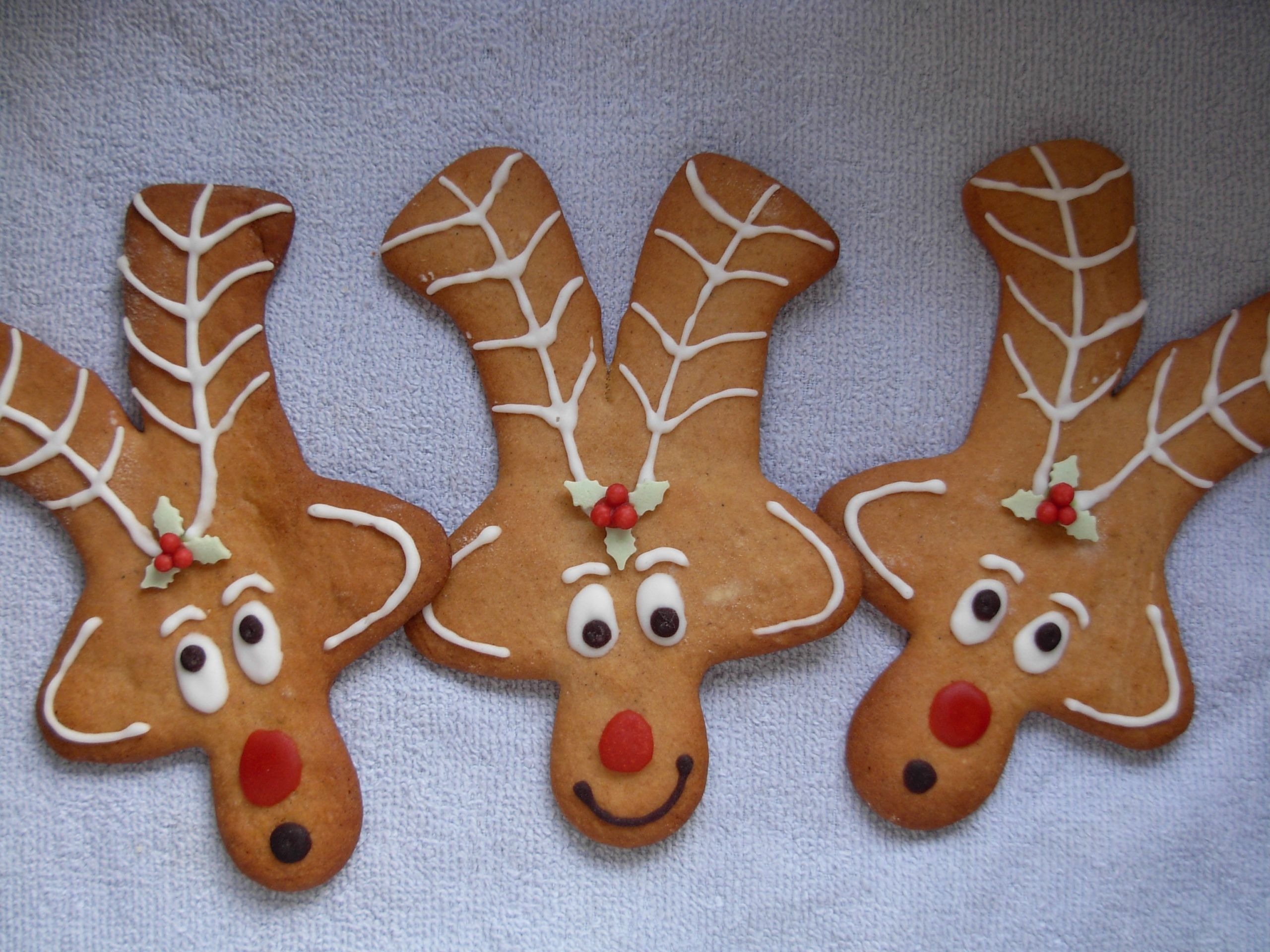 Reindeer Gingerbread Man Cookies
 "Soft" Gingerbread Cookies Vohn’s Vittles
