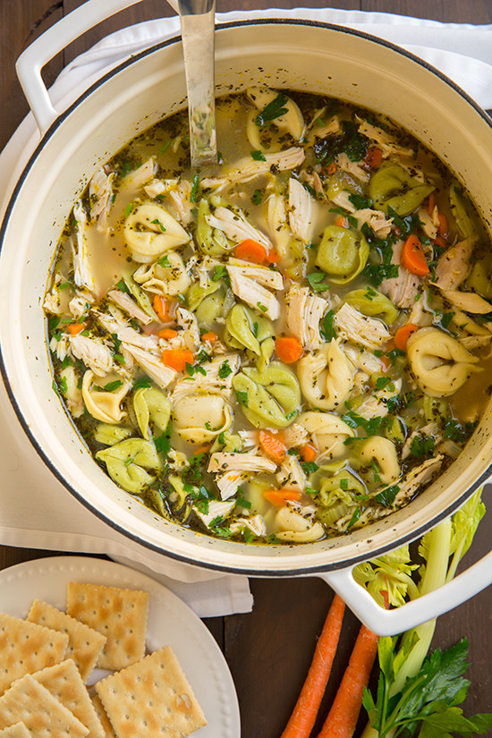 Seasonings For Chicken Soup
 Not Your Ordinary Chicken Soup Tortellini Chicken Noodle