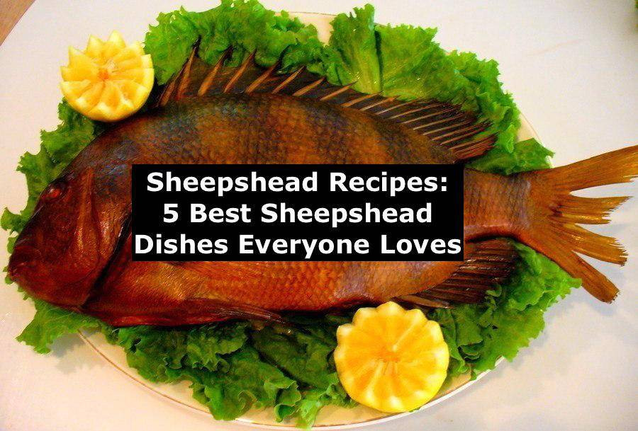 Sheepshead Fish Recipes
 Sheepshead Fish Recipe Grill