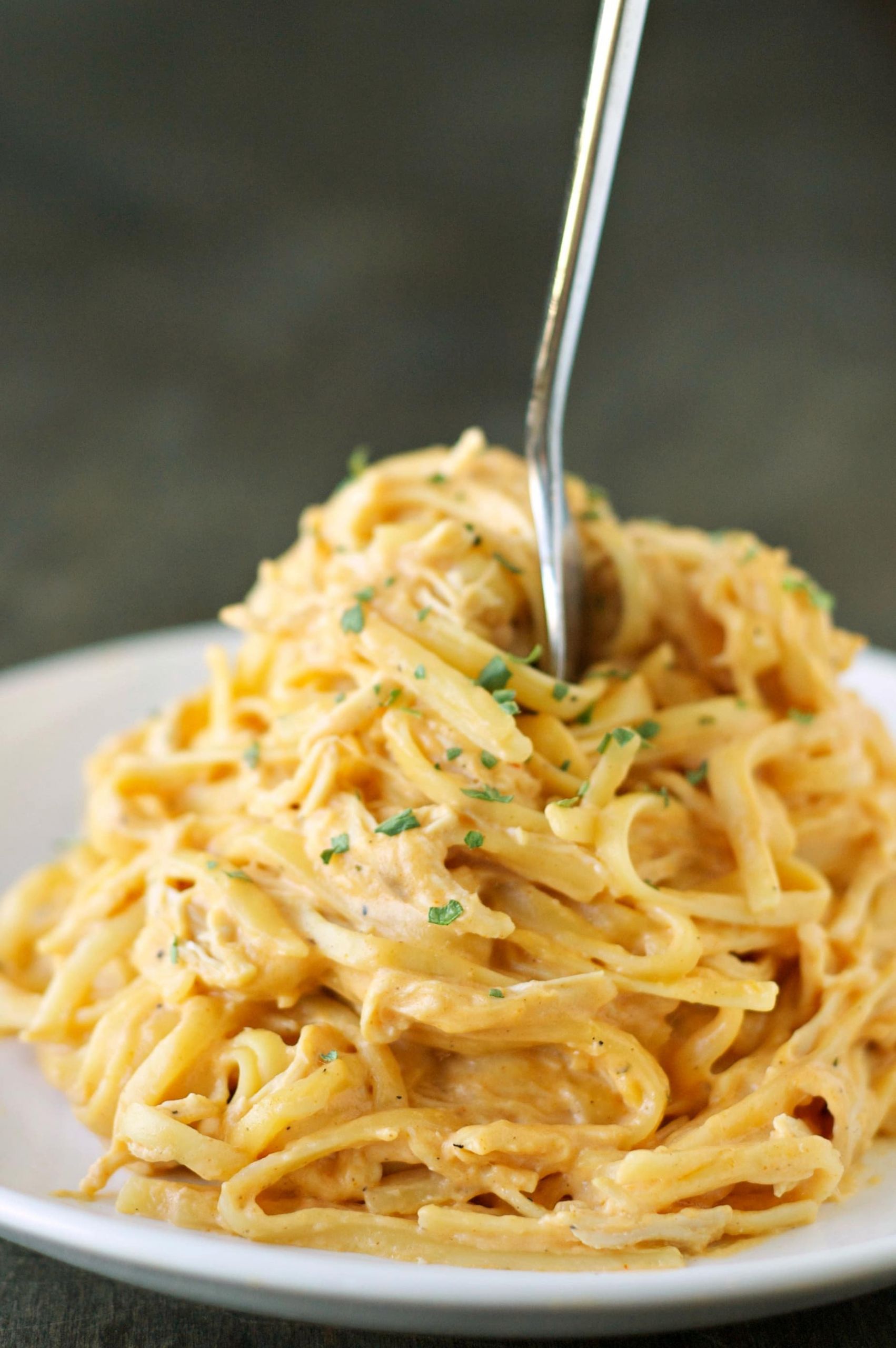 Slow Cooker Chicken Spaghetti
 Slow Cooker Cheesy Buffalo Chicken Pasta Slow Cooker Gourmet