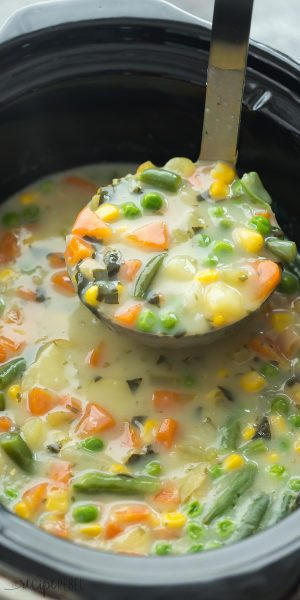 Slow Cooker Chicken Vegetable Soup
 Best Ever Soup Recipes