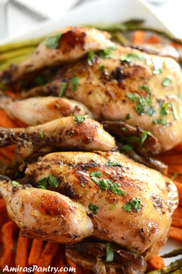 Slow Cooker Cornish Hens With Potatoes
 Recipes