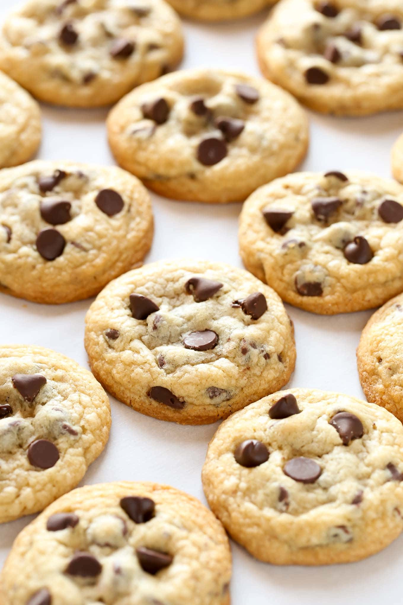Soft Chewy Choc Chip Cookies Recipe
 Soft and Chewy Chocolate Chip Cookies Recipe