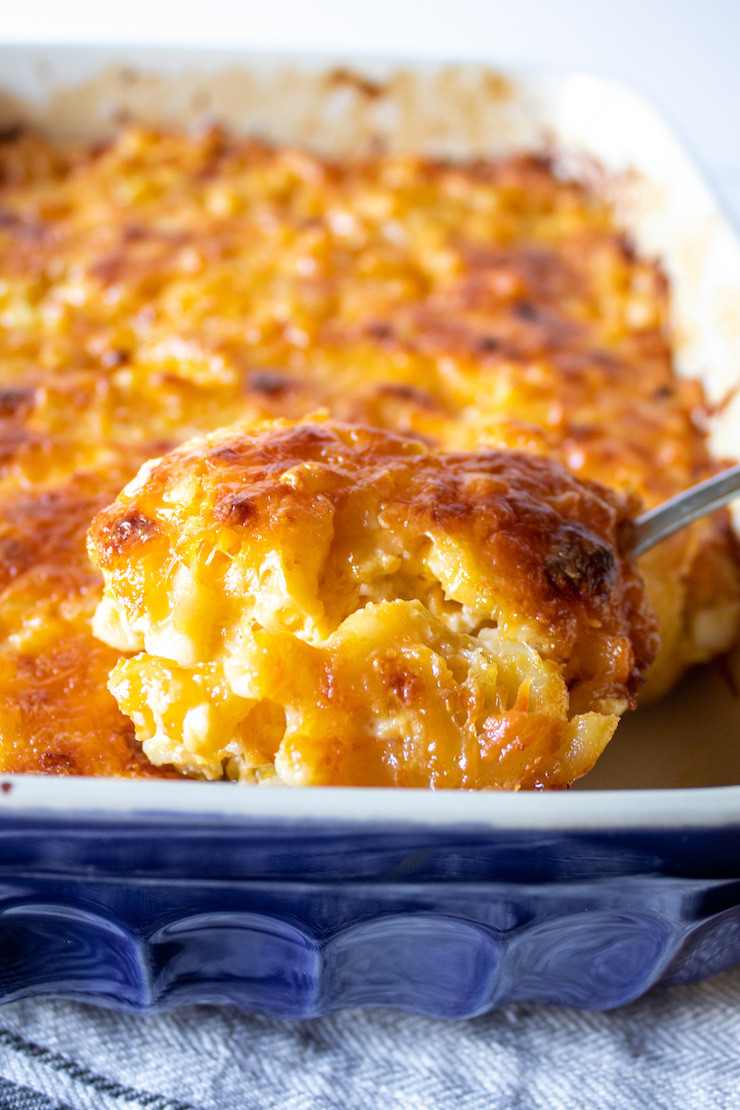 Southern Baked Macaroni And Cheese
 Southern Baked Macaroni and Cheese the hungry bluebird