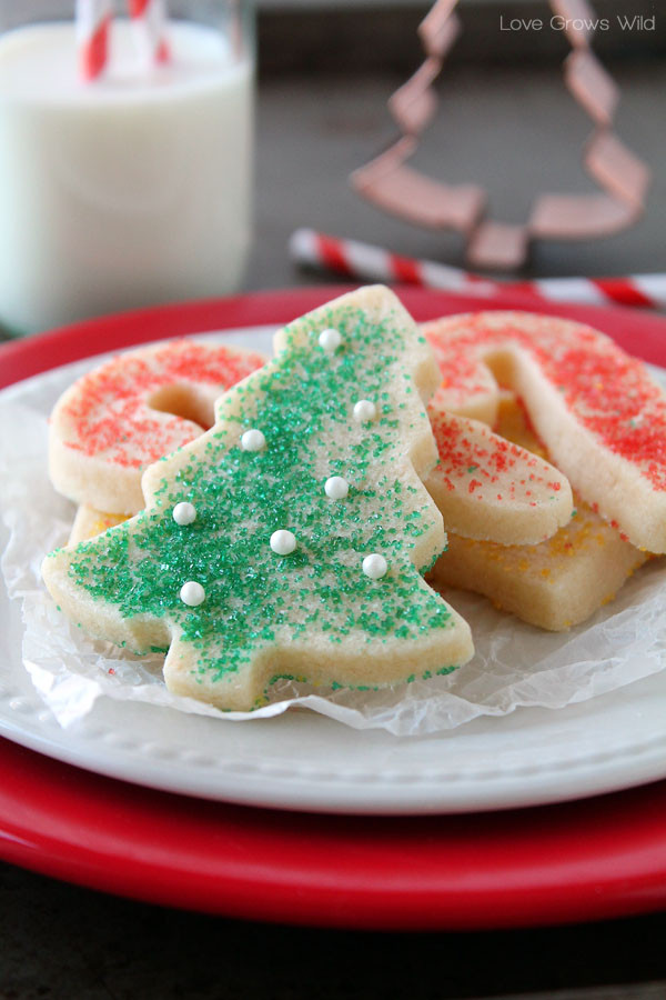 Sugar Cookies Cutouts
 EchoPaul ficial Blog PERFECT SUGAR COOKIE CUT OUTS