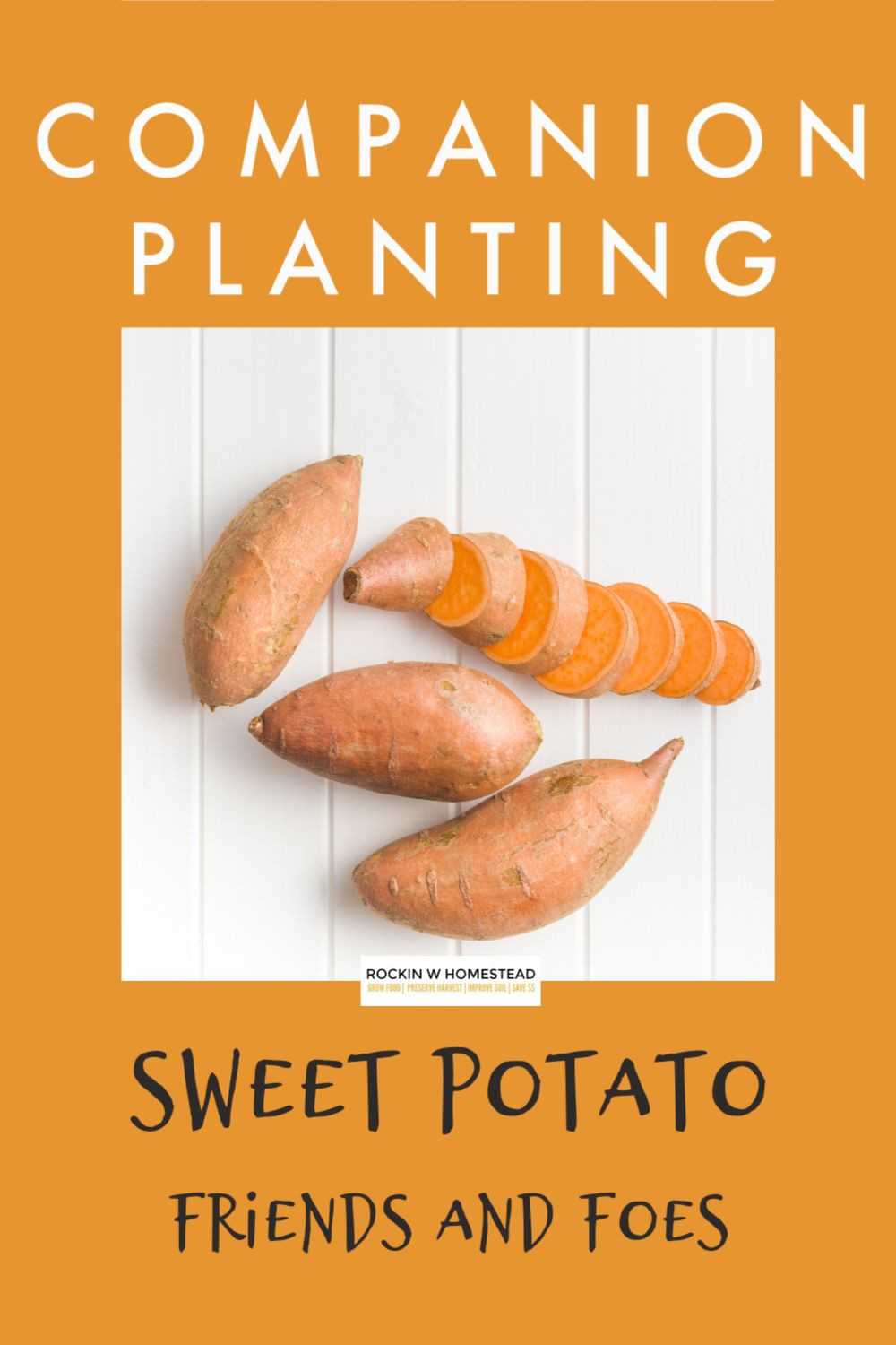Sweet Potato Companion Plants
 panion Plants Your Secret Weapon Against Pests