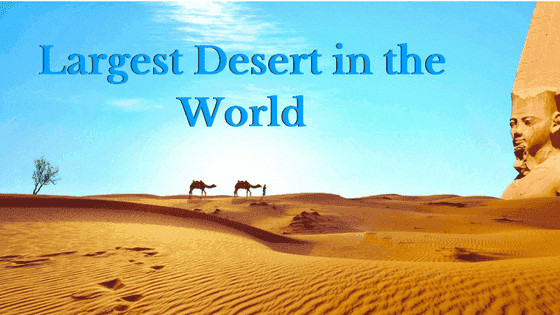 The Largest Dessert In The World
 st Desert in World Deserts of the World List