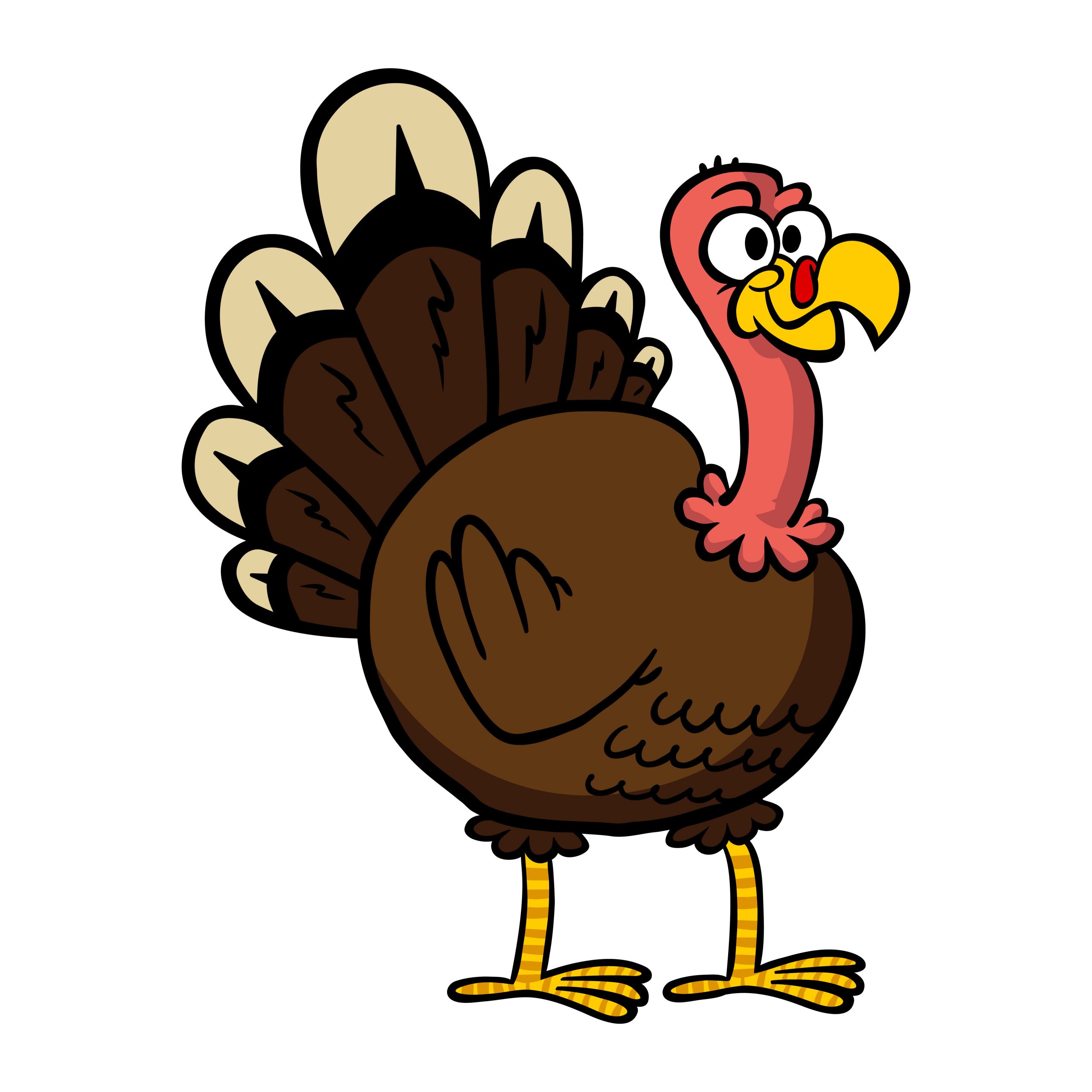 Turkey Thanksgiving Cartoon
 Vector illustration of a friendly cartoon turkey