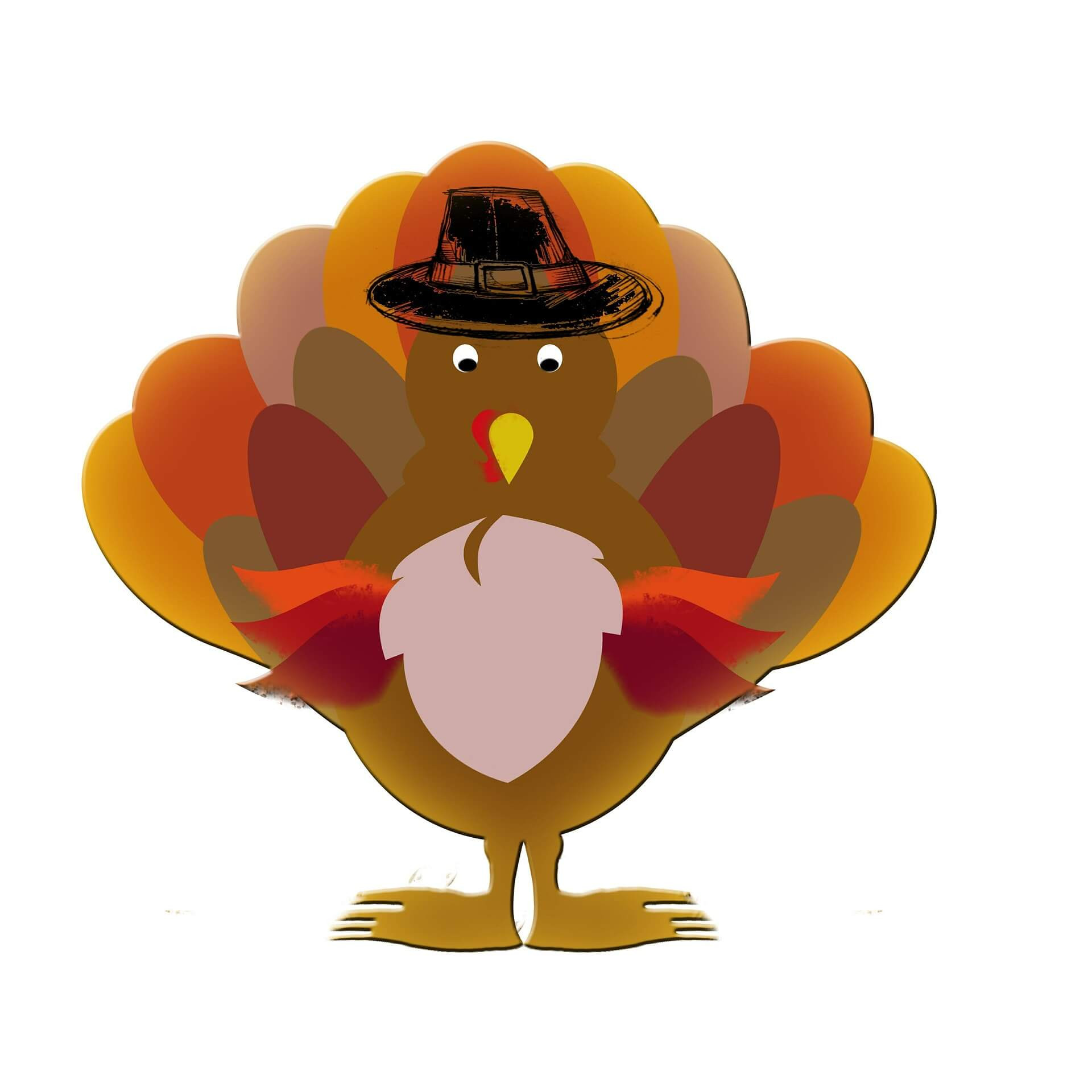 Turkey Thanksgiving Cartoon
 Give Thanks A Thanksgiving for Turkeys Vegaprocity