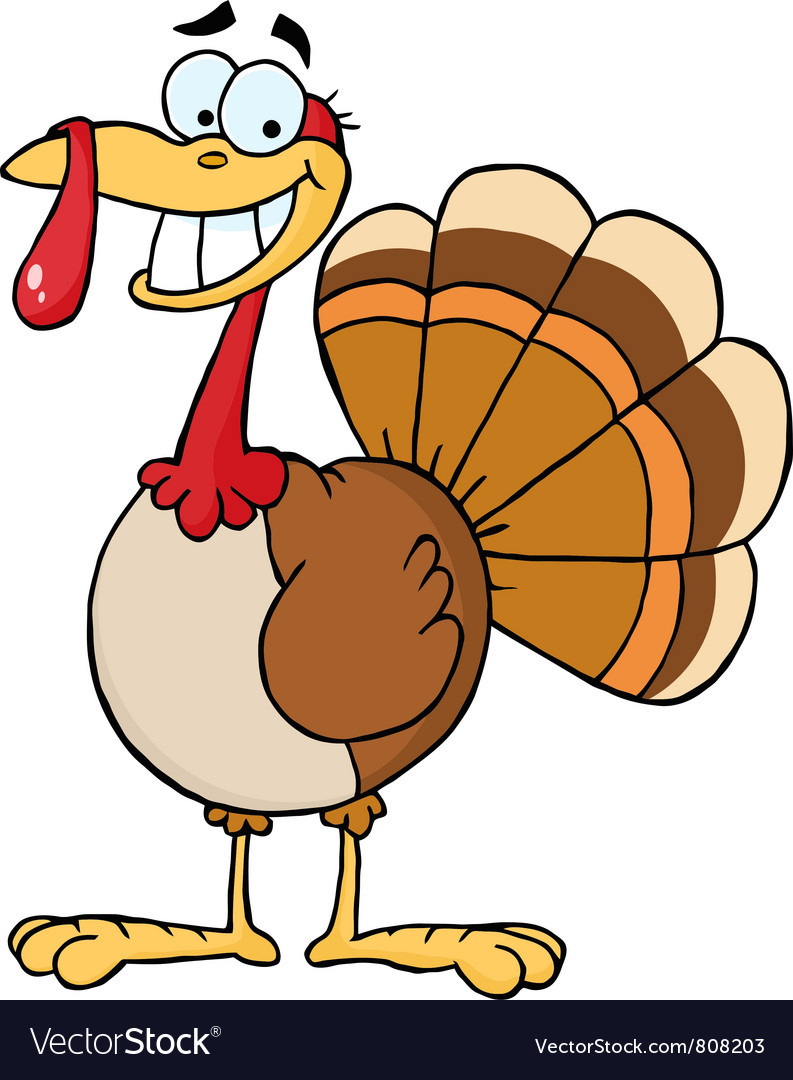Turkey Thanksgiving Cartoon
 Turkey Cartoon Character Royalty Free Vector Image