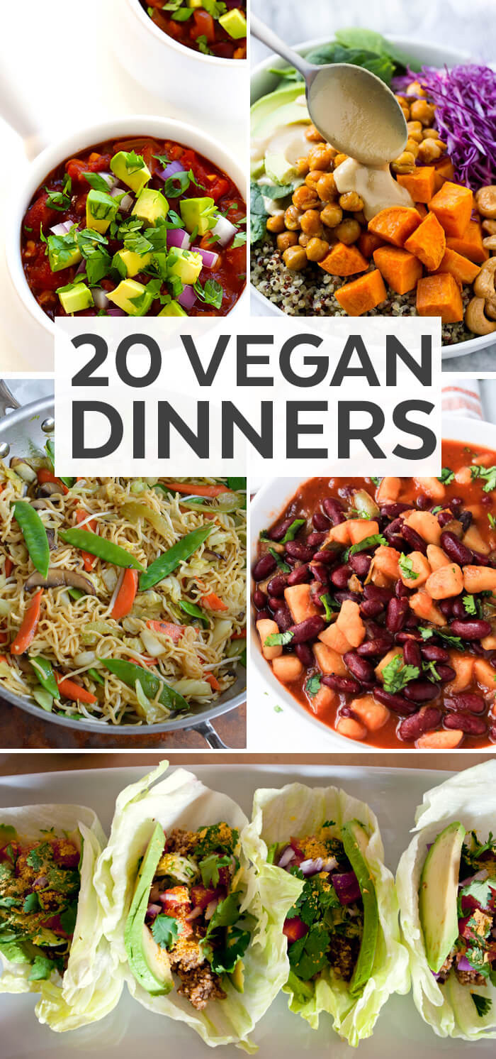 Vegan Diet Recipes
 20 Vegan Dinner Ideas Plant Based Diet Recipe Ideas