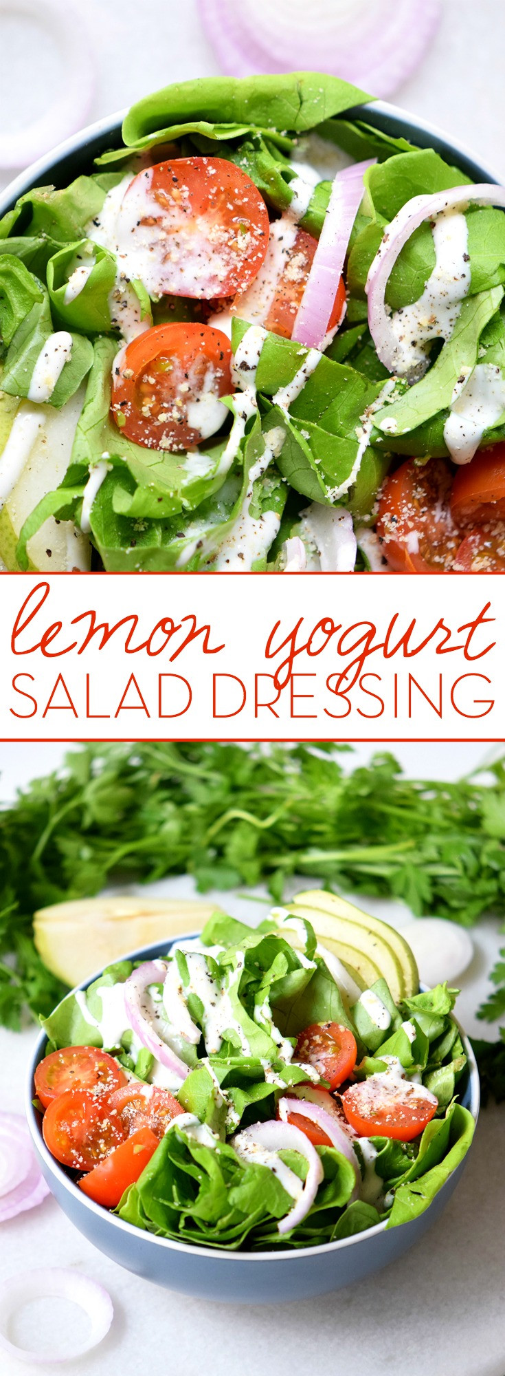 Wendy'S Salad Dressings
 Creamy Lemon Yogurt Salad Dressing Simply Shellie