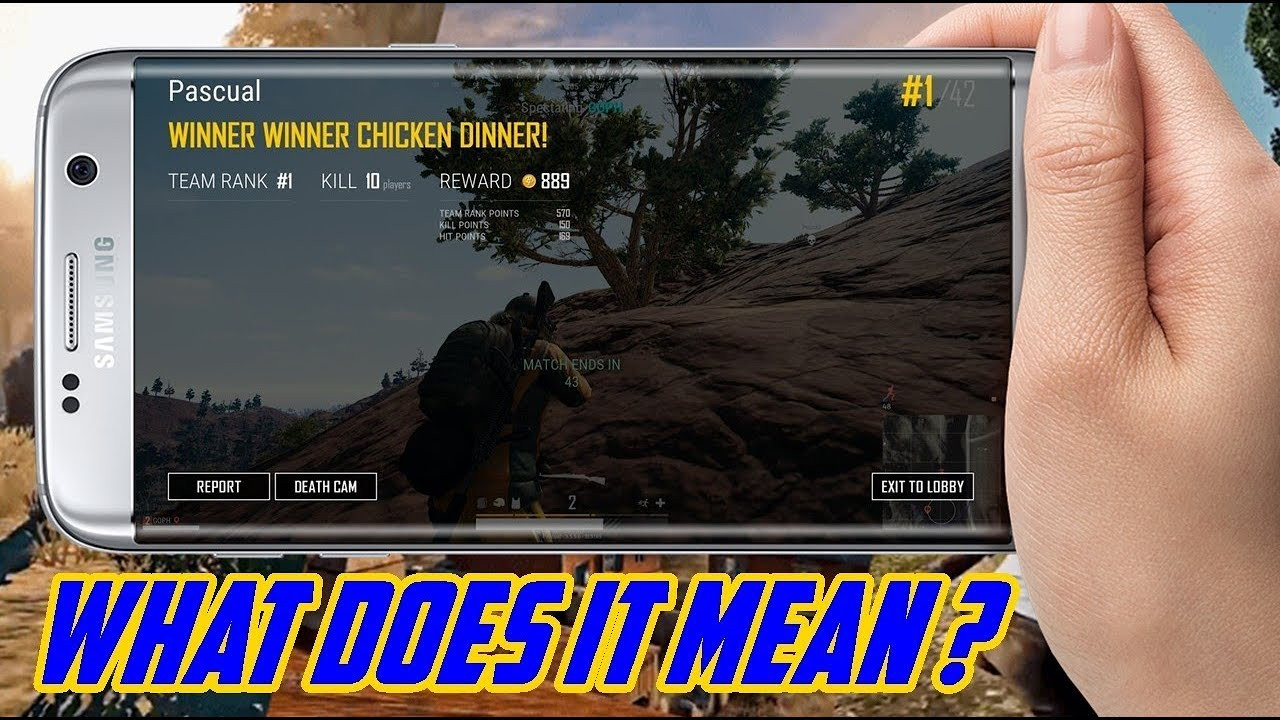 Winner Winner Chicken Dinner Origin
 WINNER WINNER CHICKEN DINNER Meaning in PUBG