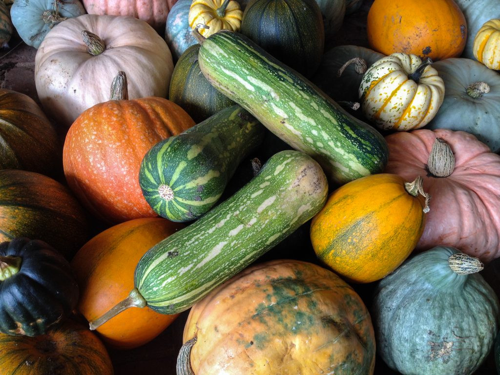 Winter Squash Varieties
 Gourd almighty a guide to winter squash Jamie Oliver