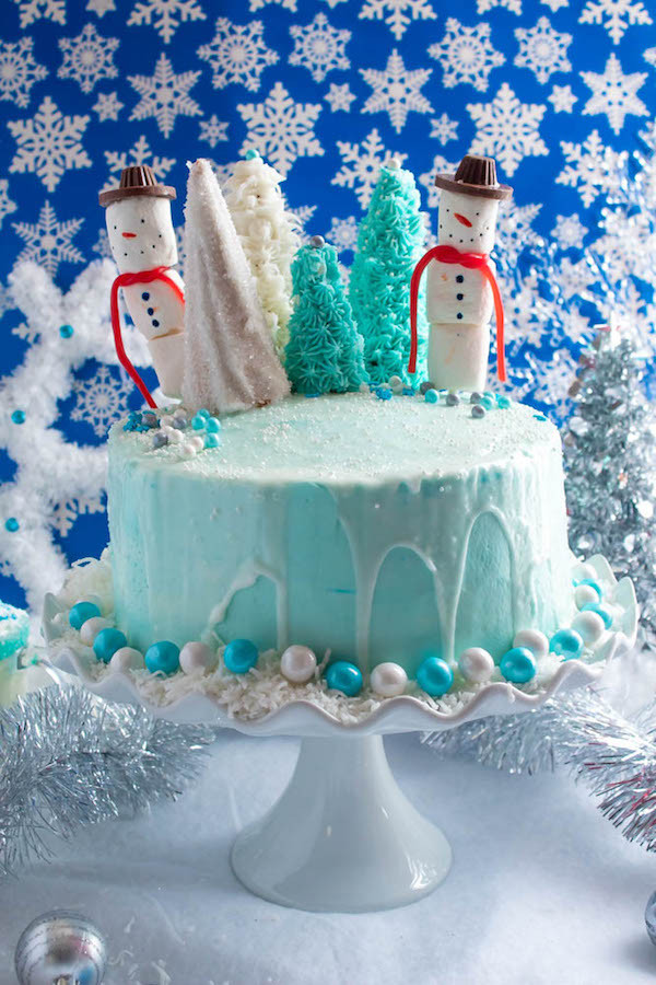 Winter Wonderland Birthday Cake
 Winter Wonderland Cake Recipe