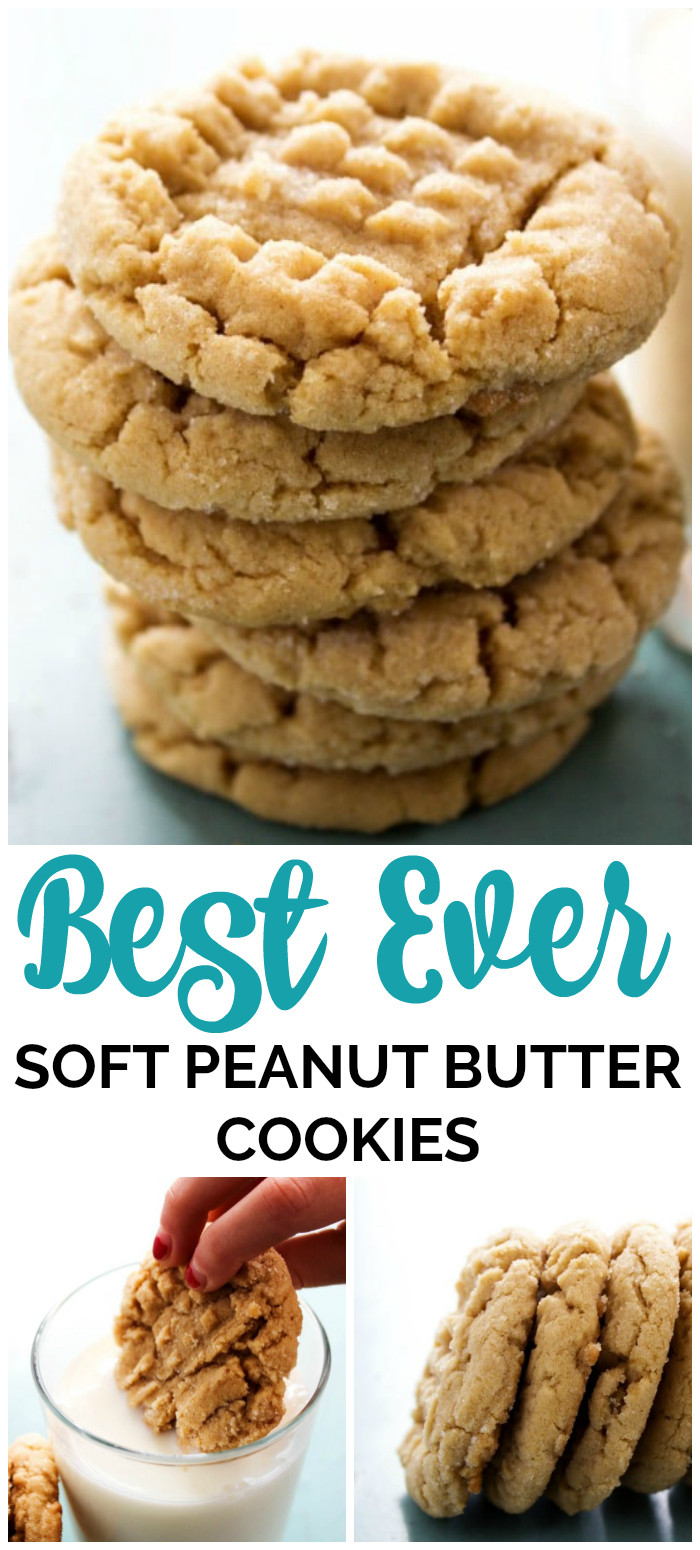 World'S Best Peanut Butter Cookies
 Best Ever Soft Peanut Butter Cookies A Dash of Sanity
