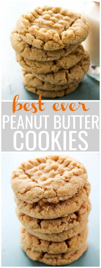 World'S Best Peanut Butter Cookies
 BEST EVER SOFT PEANUT BUTTER COOKIES A Dash of Sanity