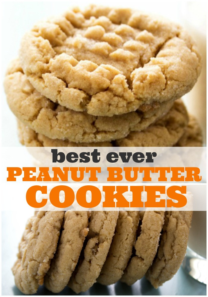 World'S Best Peanut Butter Cookies
 BEST EVER SOFT PEANUT BUTTER COOKIES A Dash of Sanity