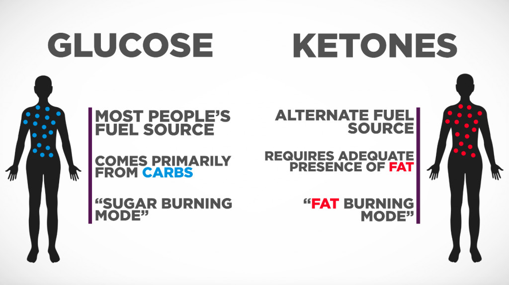 Keto Diet Definition
 Keto 101 Ketogenic Diet & Ketosis for Beginners