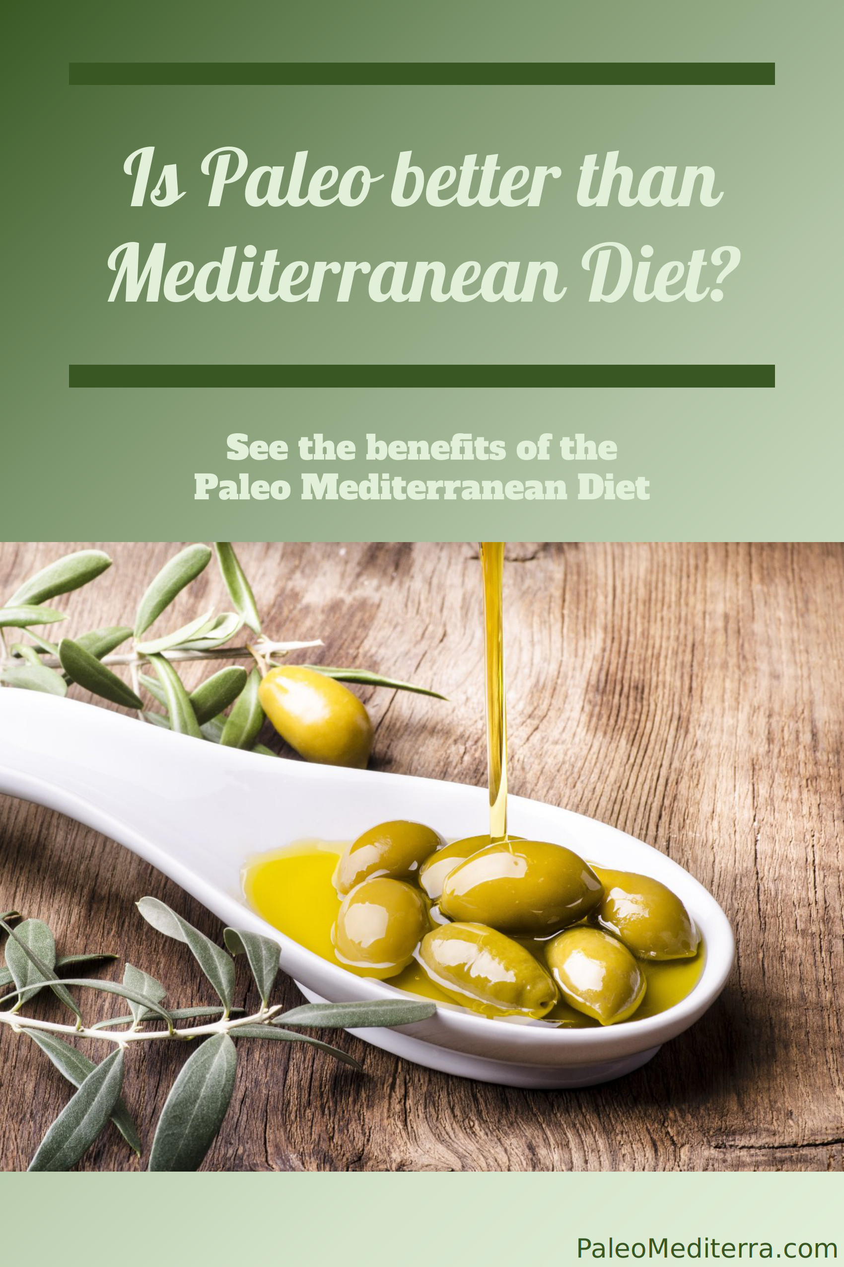 Paleo Mediterranean Diet
 paring mon ts Ketogenic Paleo Mediterranean