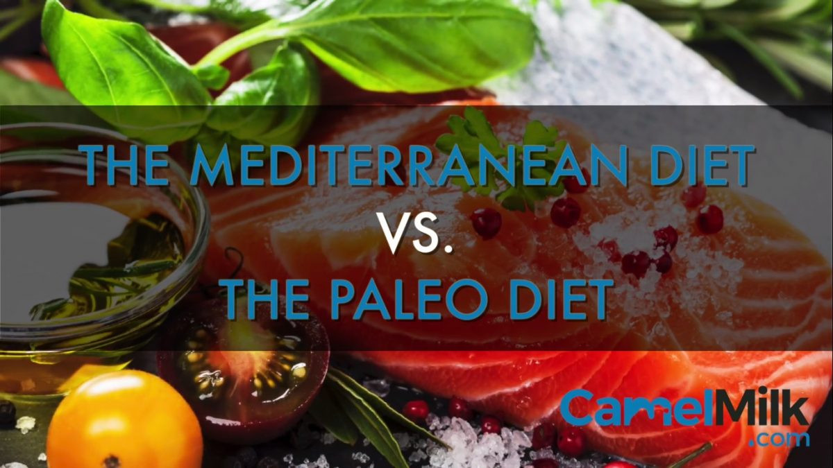 Paleo Mediterranean Diet
 Mediterranean vs Paleo paring Best Diets For Health