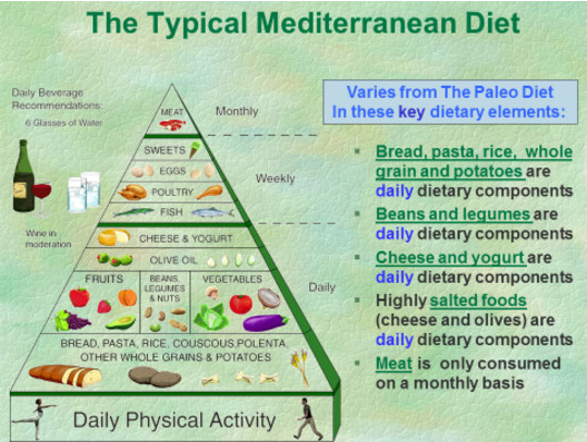Paleo Mediterranean Diet
 Paleo Meal Plan Paleo Diet Benefits