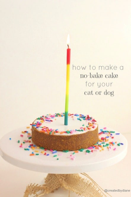 Cat Birthday Cake Recipe
 