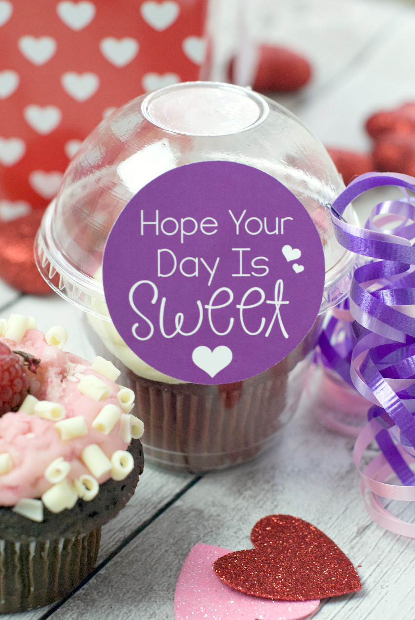 Valentine Day Gift Ideas For Best Friend
 Sweet Valentine Gift for Friends – Fun Squared