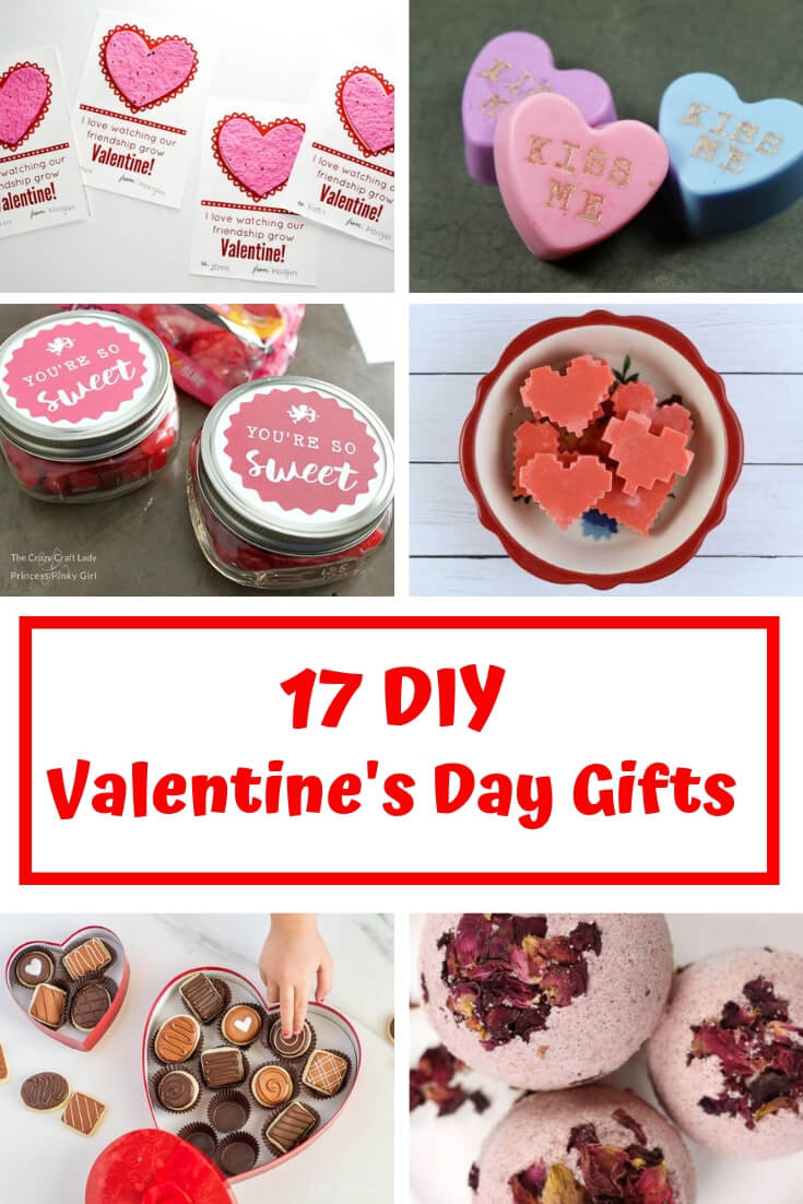 Valentines Day Gifts For Friends
 17 DIY Valentine s Day Gifts For Your Partner or Friend