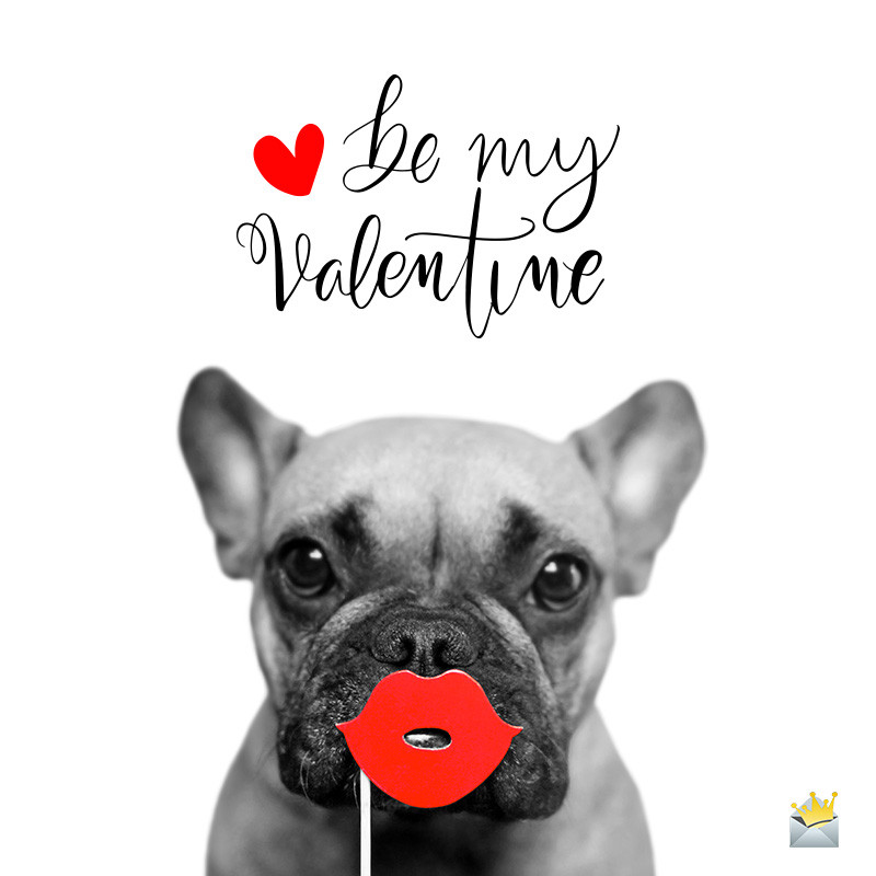 Valentines Day Quote Funny
 Funny Valentine s Day Quotes