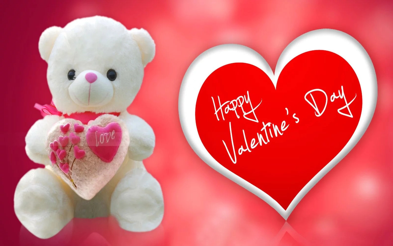 Valentines Day Quotes For Friends And Family
 Valentines Day Quotes for Friends and Family Tuko