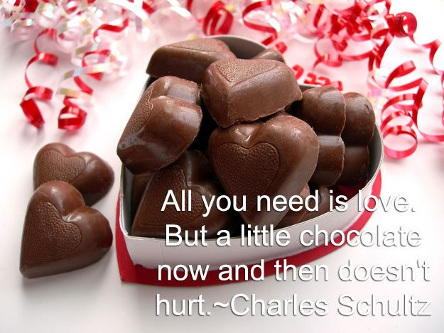 Valentines Day Quotes Funny
 Funny Valentine s Day Quotes That Will Make You Chuckle