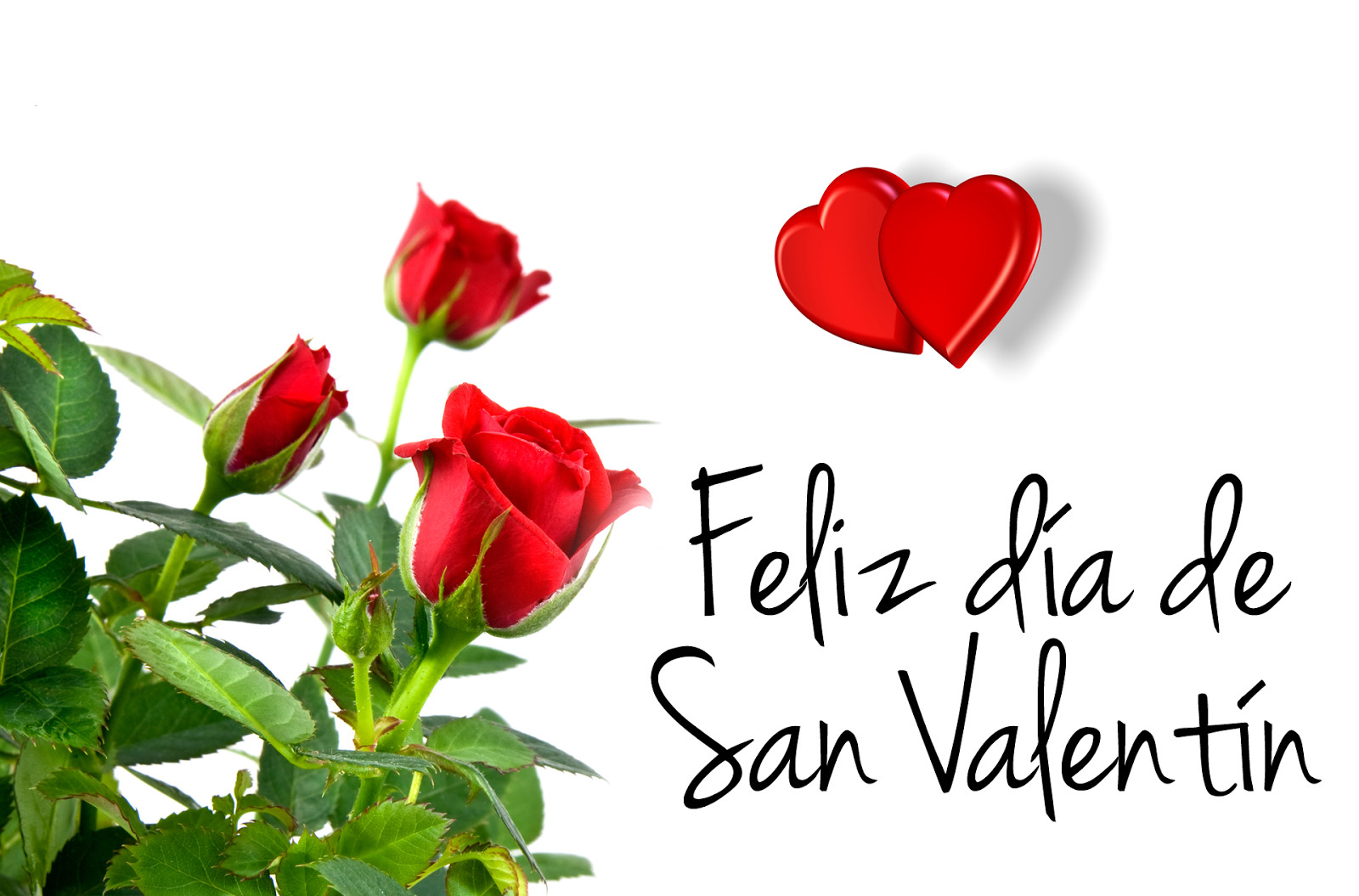 Valentines Day Quotes In Spanish
 Valentines Day Quotes In Spanish QuotesGram